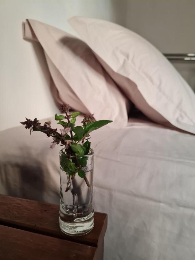 Apartamento Lencois 103 エクステリア 写真
